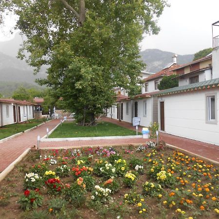 Ipsos Hotel Beldibi Kemer Exterior foto
