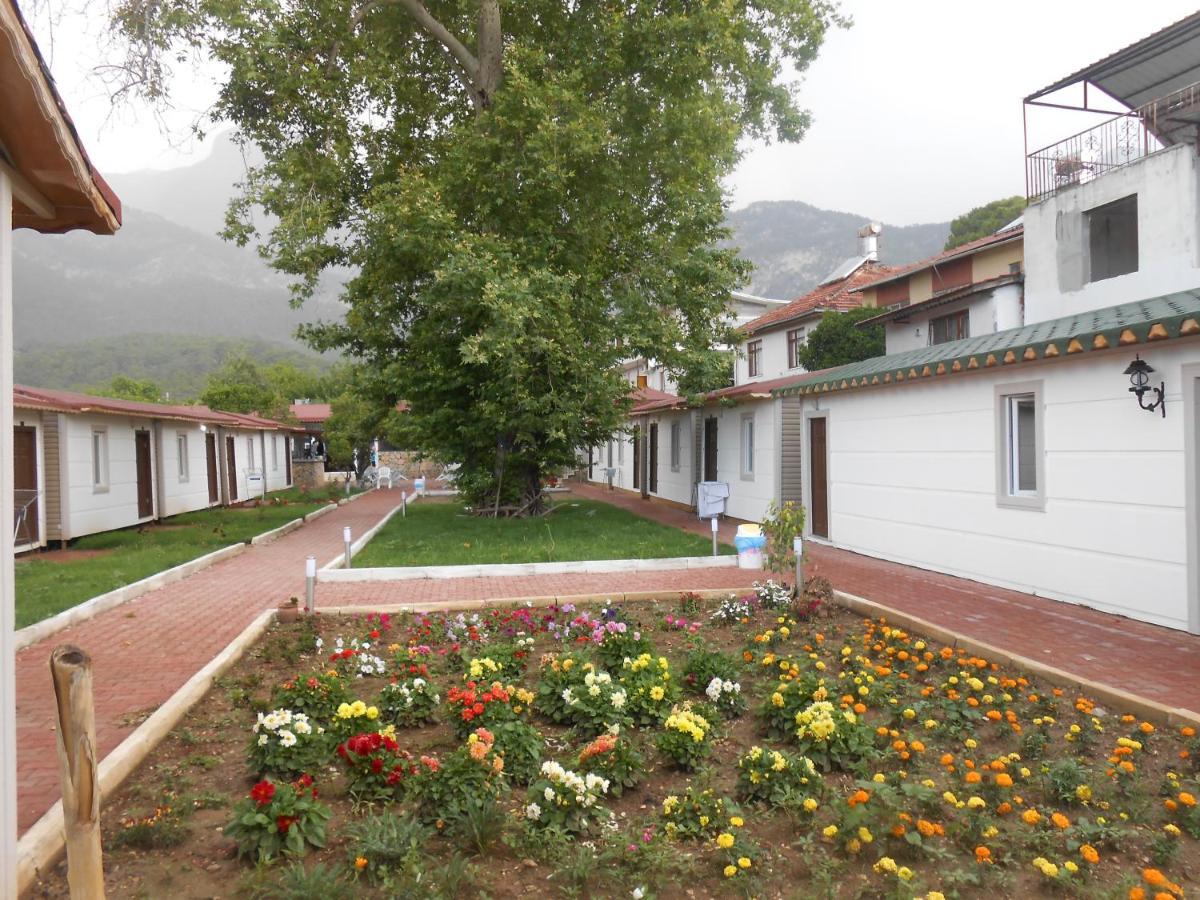 Ipsos Hotel Beldibi Kemer Exterior foto