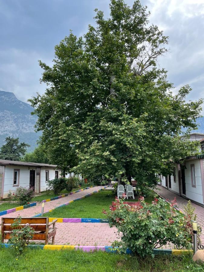 Ipsos Hotel Beldibi Kemer Exterior foto